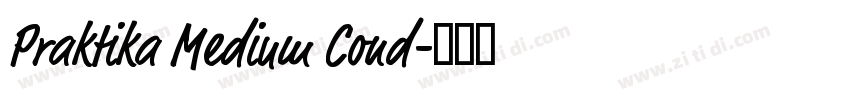 Praktika Medium Cond字体转换